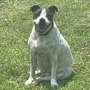 Meet your Posher, Serenity